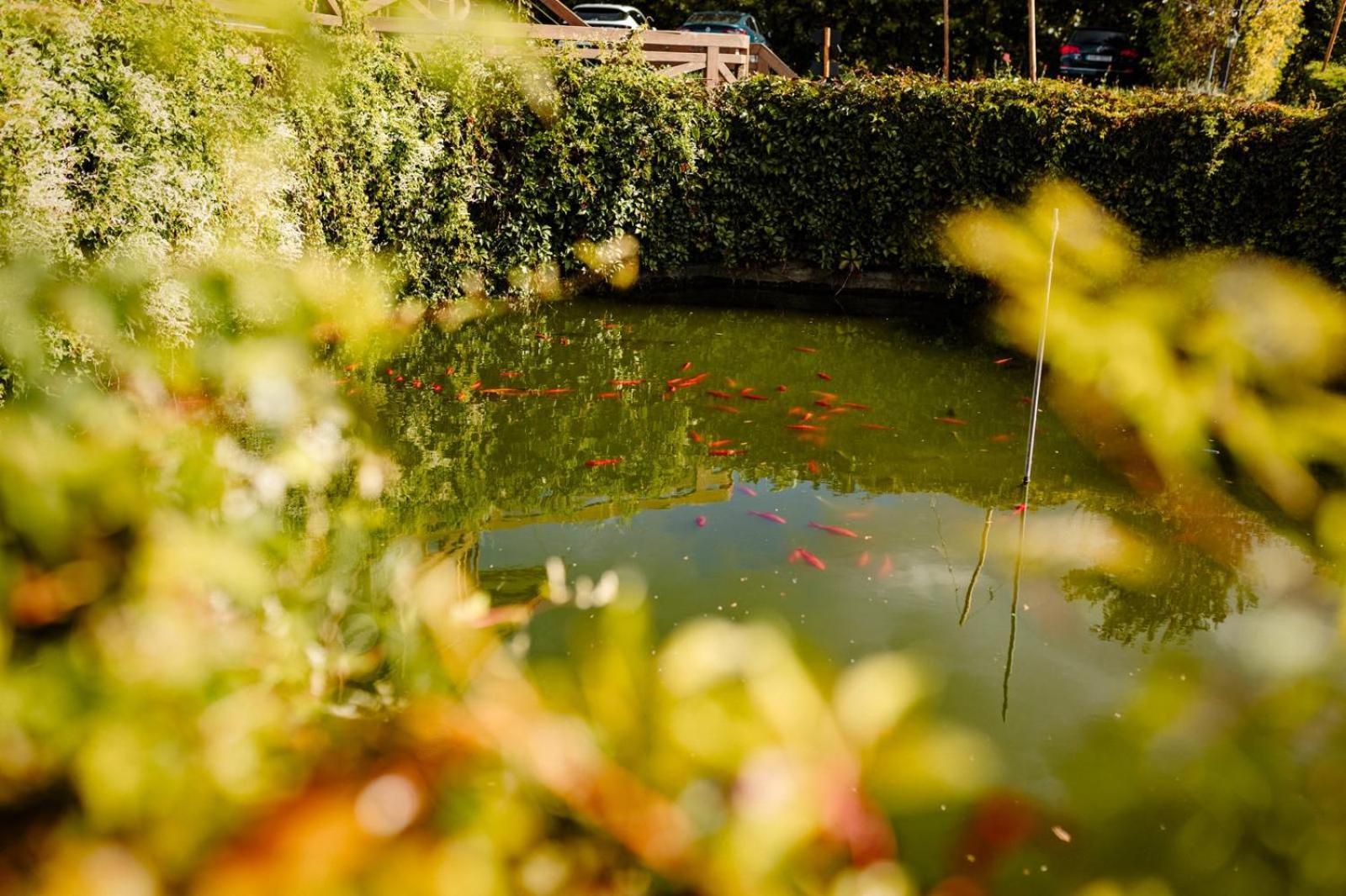 Luční penzion Ceska Skalice Exterior foto